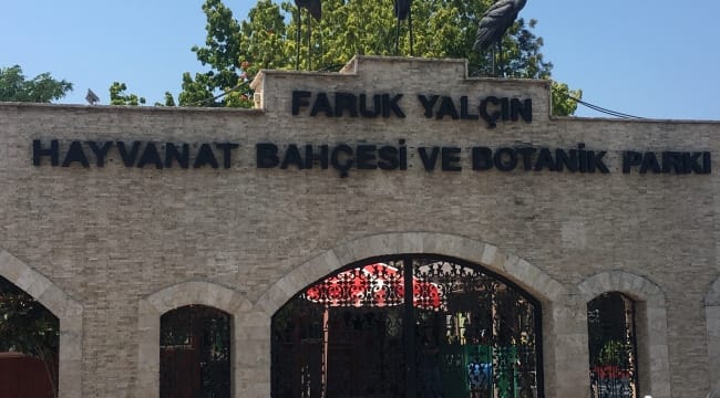 Faruk Yalçın Hayvanat